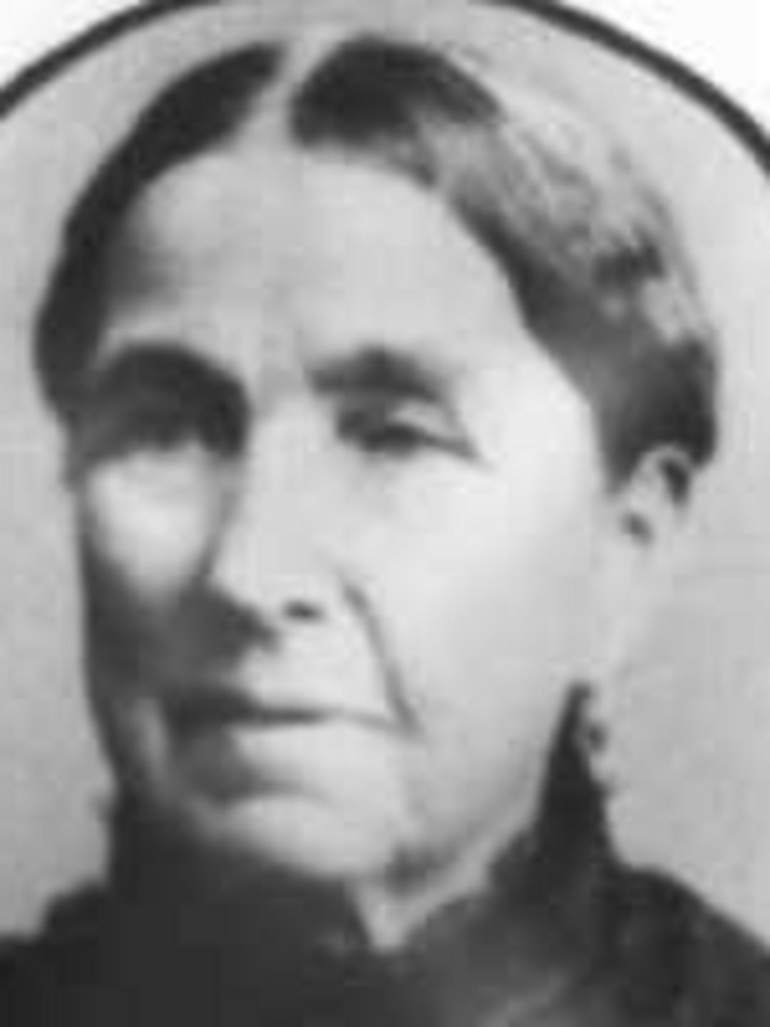 Martha Seed (1819 - 1893) Profile